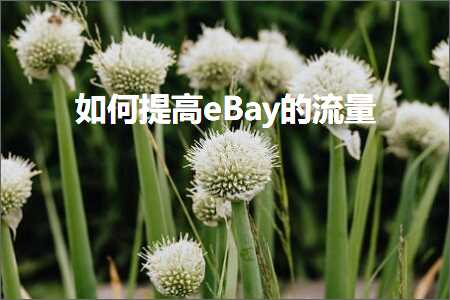 跨境电商知识:如何提高eBay的流量